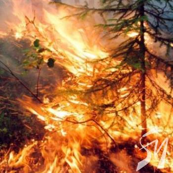 �������������� ���� ����� � �������. ���� �� �� ������ ��������?